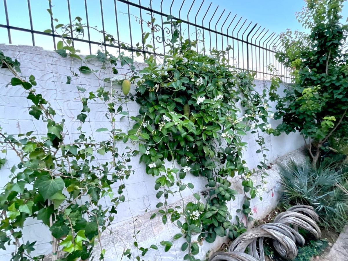 Villa Sa Torre Ibiza Exterior foto